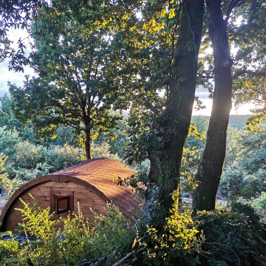 Gaia Forest Retreat Spiritual Retreat - Thumbnail 2