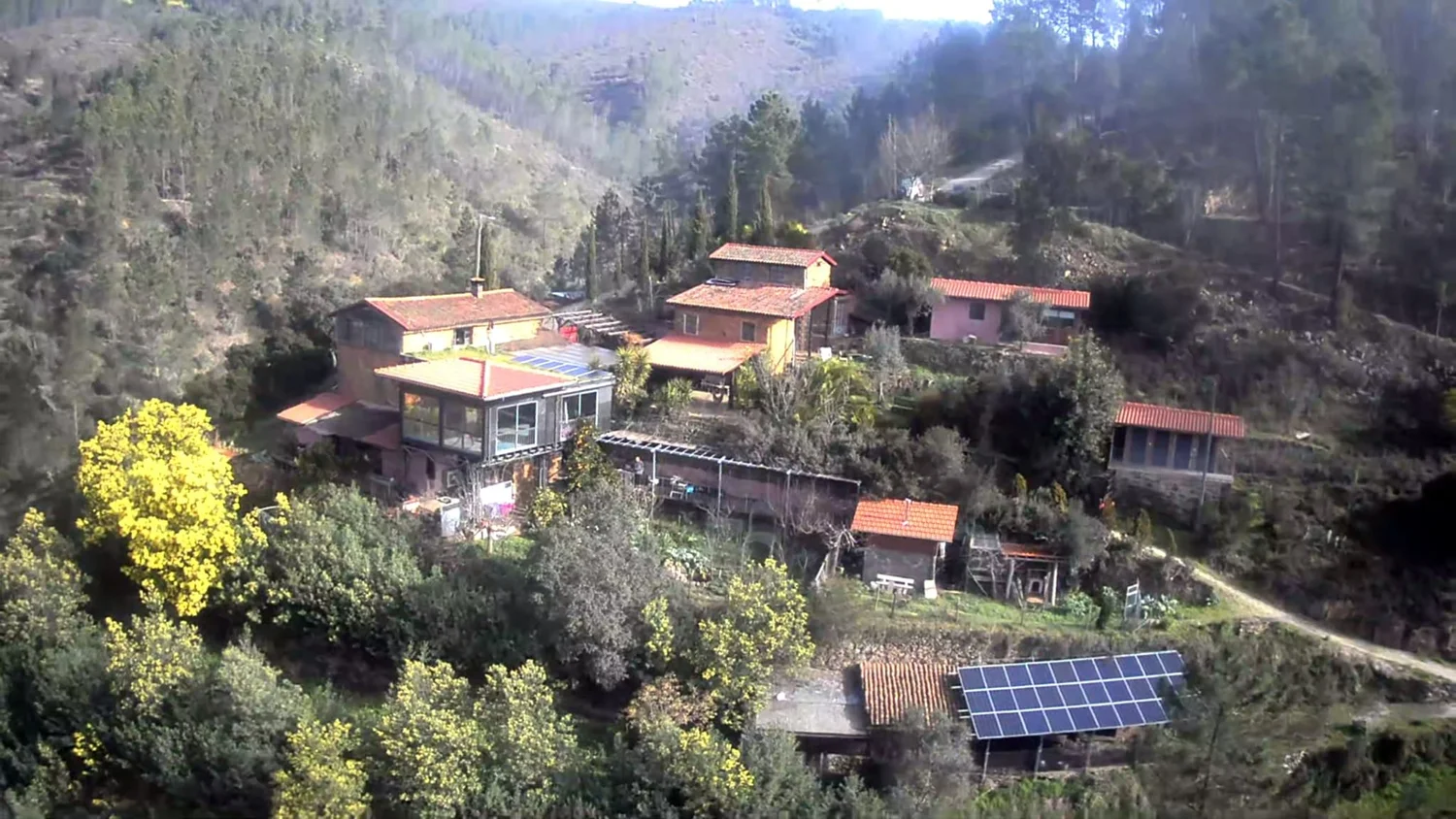 Vale de Moses Forest Wellness Retreat - Image 1