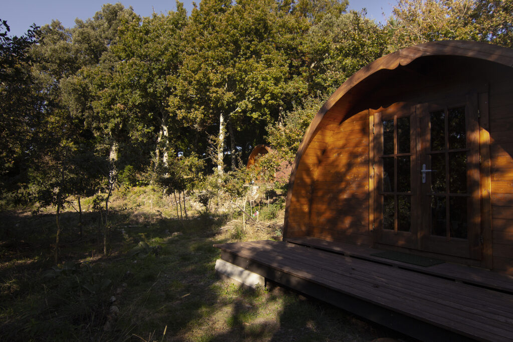 Gaia Forest Retreat Wellness - Thumbnail 3