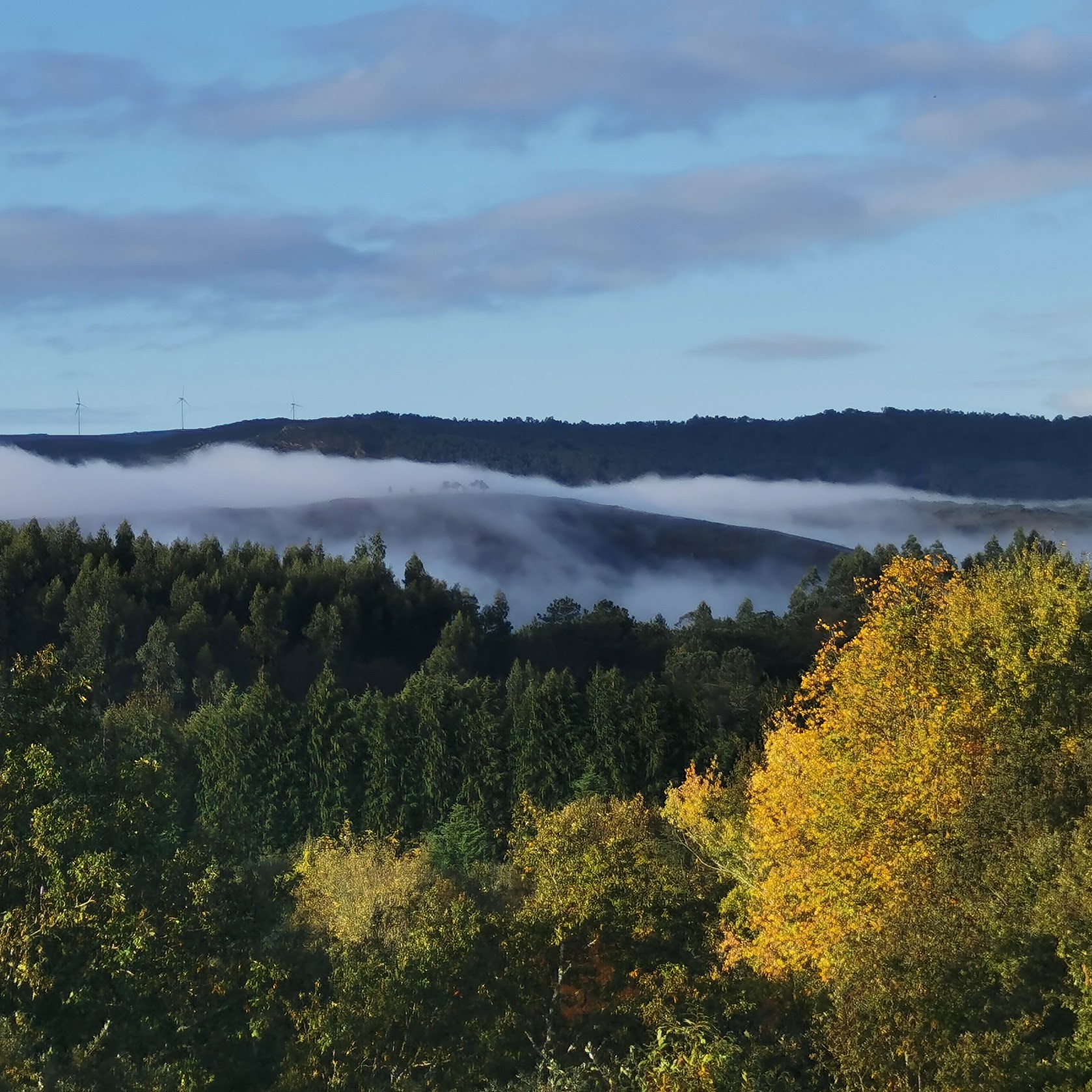 Gaia Forest Retreat Wellness - Image 1